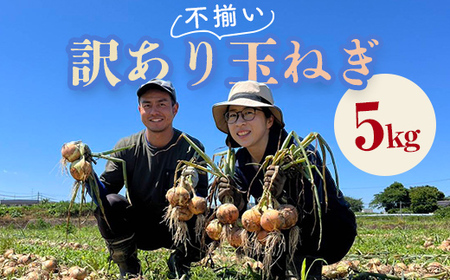 《先行予約》 2026年発送 ＜訳アリ＞ うまみたっぷり！ 不揃い 玉ねぎ 5kg たまねぎ タマネギ 玉葱 野菜 訳あり ワケアリ  F6Q-150