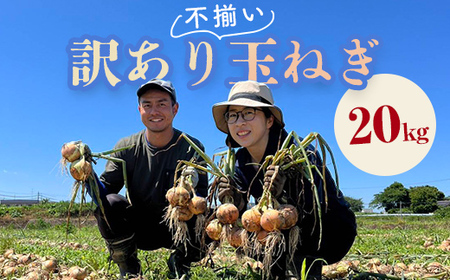 《先行予約》 2026年発送 ＜訳アリ＞ うまみたっぷり！ 不揃い 玉ねぎ 20kg たまねぎ タマネギ 玉葱 野菜 訳あり ワケアリ  F6Q-152
