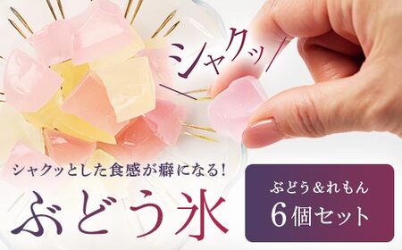 ＜数量限定＞ 琥珀糖の仲間 ぶどう氷 6個セット（ぶどう味 4、れもん味 2） 和菓子 菓子 砂糖菓子 伝統菓子  F6Q-131