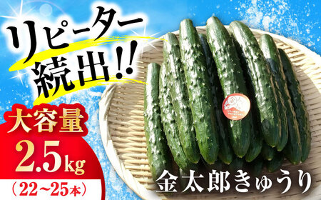 きゅうり 2.5kg [AQDD001] きゅうり 野菜