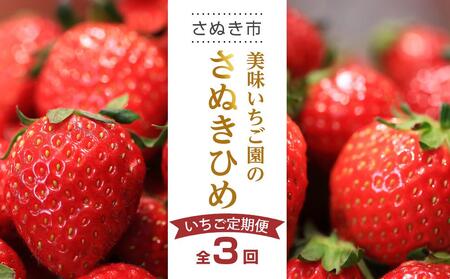 【全3回】美味いちご園のさぬきひめいちご定期便