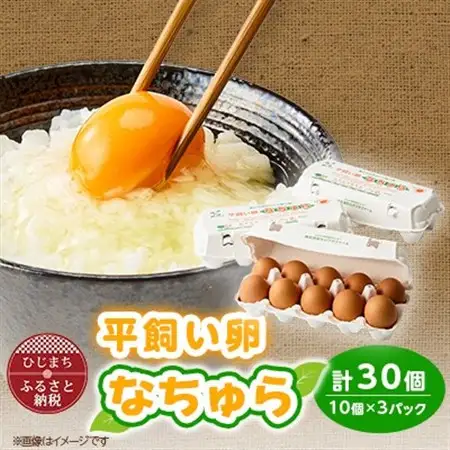 平飼い卵なちゅら(30ヶ入り)_卵 たまご 玉子 タマゴ 鶏卵 まとめ買い オムレツ 卵かけご飯 朝食 料理 人気 美味しい_【配送不可地域：離島】【1585333】