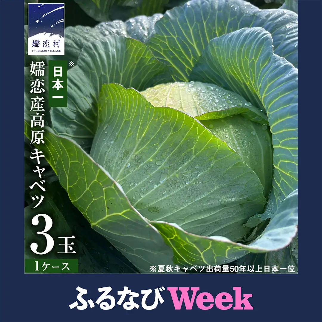 【ふるなびWEEK対象】＜レビューキャンペーン開催中＞【7月中旬発送開始】 嬬恋キャベツ 嬬恋産 高原キャベツ3玉1ケース Lサイズ 先行予約 2026年発送 [AS010tu]