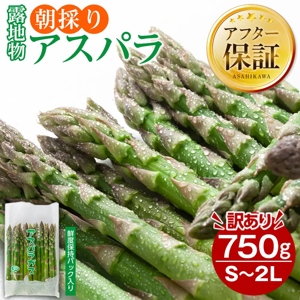 訳あり 露地物朝採りアスパラ 750g×1 　鮮度保持フィルム入り(5月中旬発送開始) | 訳あり 北海道_04751