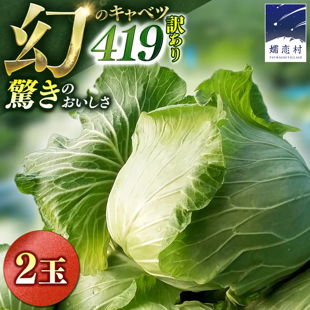 ＜レビューキャンペーン開催中＞【7月中旬発送開始】 訳あり まぼろしの419キャベツ 2玉 きゃべつ 嬬恋村産キャベツ 羽生田売店 幻のキャベツ419 産地直送 期間限定 人気 朝採り 通販 お取り寄せ 関東 群馬 出荷時期限定 先行予約 [AL014tu] 
