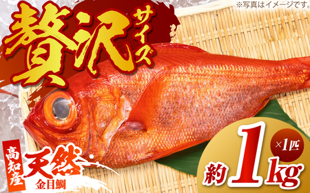 【先行予約】高知県産 天然 金目鯛 約1kg 〈2026年2月上旬～2026年11月末発送〉 /内臓・うろこ処理済み 刺身 煮付け たい タイ キンメダイ 【株式会社　四国健商】[ATAF004]
