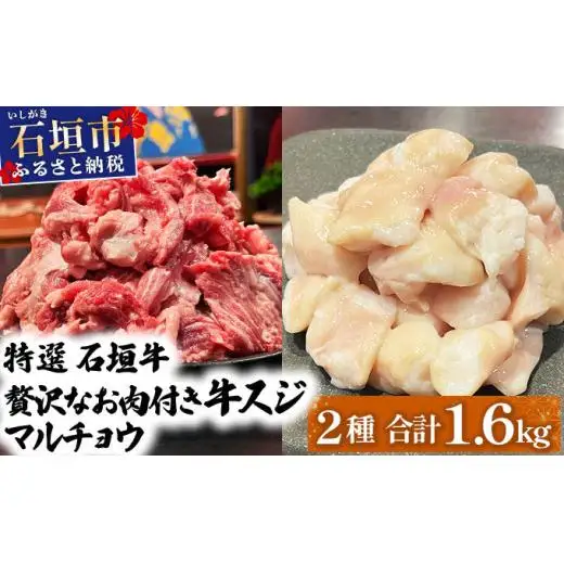 牛スジ500g×2、マルチョウ300ｇ×2の大容量セット　IM-24