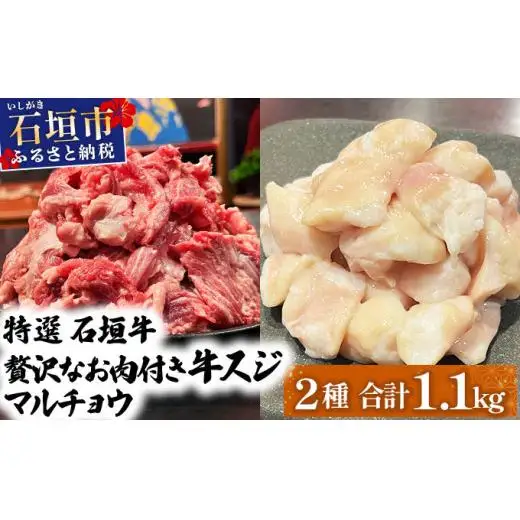 牛スジ500g、マルチョウ300ｇ×2の大容量セット 　 IM-25