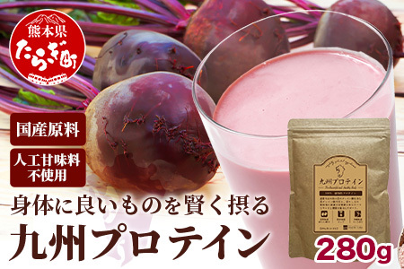 九州 プロテイン 280g (約14日分) ビーツ 高オレイン酸 大豆 沖縄県産 さとうきび スーパーフード 植物性 プロテイン 黒糖 国産 原料 美容 健康 115-0605