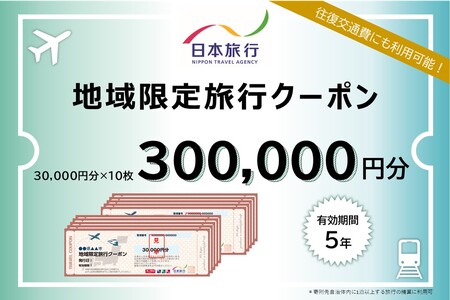 大阪府大阪市　日本旅行　地域限定旅行クーポン300,000円分_OS109-0006