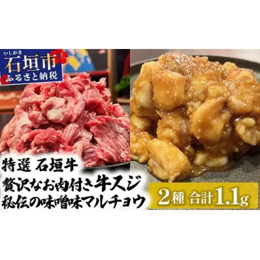 牛スジ500g、味噌味マルチョウ300ｇ×2のセット　 IM-28