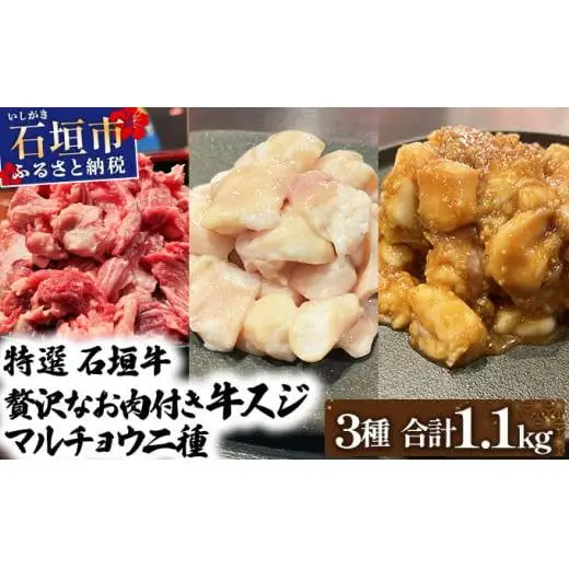 牛スジ500g、マルチョウ300ｇ、味噌味マルチョウ300ｇのよくばりセット 　IM-29
