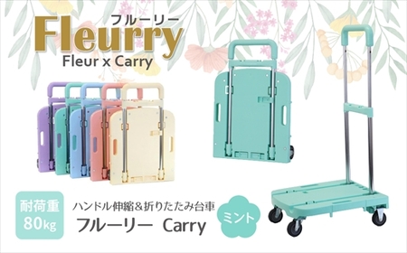 ハンドルが伸縮する台車「フルーリーCarry」　カラー：ミント（グリーン） | 台車 春日井市
