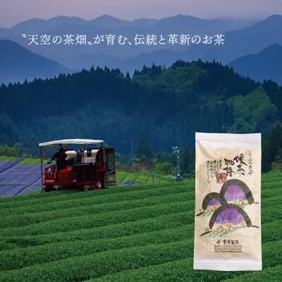 Z55-20 寄附額改定↓↓ 八女茶 栗原製茶 伝統本玉露「匠」100g 玉露