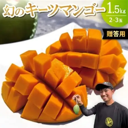 【2026年8月下旬から順次発送・贈答用】みなとばる農園の幻のキーツマンゴー1.5kg(2～3玉)【配送不可地域：離島】【1593000】