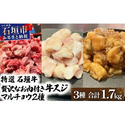 牛スジ500g、マルチョウ300ｇ×2、味噌味マルチョウ300ｇ×2のよくばりセット　IM-31
