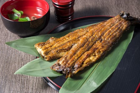 備長炭でじっくり焼き上げた うなぎまぶしセット(4人前)【0545】