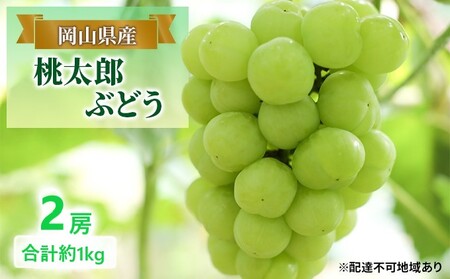 ぶどう 【2026年 早期受付】 桃太郎ぶどう 2房 合計約1kg
