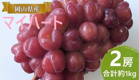 ぶどう 【2026年 早期受付】 マイハート  2房 合計約1kg ぶどう