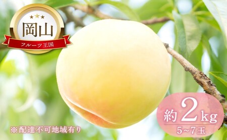 桃 【2026年 先行予約】 晴れの国 おかやま の 白桃 2kg(5玉～7玉) 