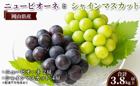 ぶどう 【2026年 先行予約】 ニュー ピオーネ 2房と シャインマスカット 4房(合計3.8kg以上) 