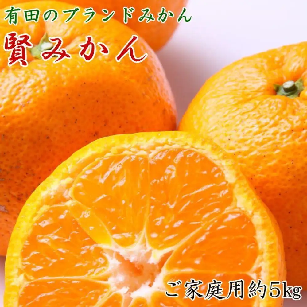 有田のブランド「賢みかん」約5kg サイズ混合 ご家庭用［2026年11月中旬頃より順次発送］