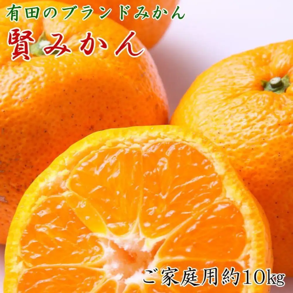 有田のブランド「賢みかん」約10kg サイズ混合 ご家庭用［2026年11月中旬頃より順次発送］