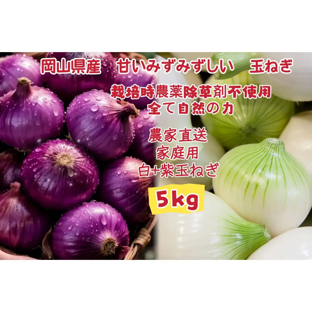 【白玉ねぎ+赤玉ねぎ】5kgセット家庭用  減化学肥料 タマネギ 生食 健康 野菜 食品 培期間中農薬・除草剤不使用自然の力 食べ比べ 訳あり(サイズ混合)