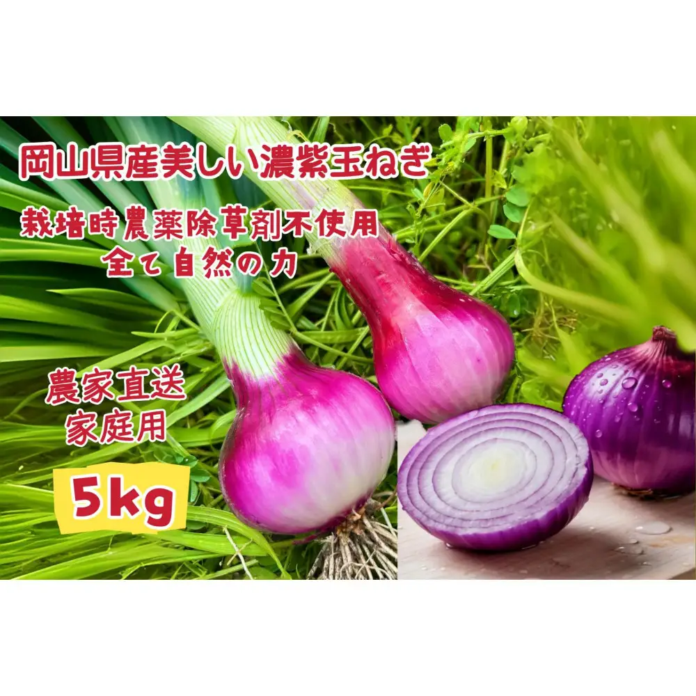 甘すぎ新鮮岡山市産 赤紫玉ねぎ5kg家庭用 減化学肥料 タマネギ 生食 健康 野菜 食品 栽培期間中農薬・除草剤不使用自然の力健康野菜 訳あり（サイズ混合)