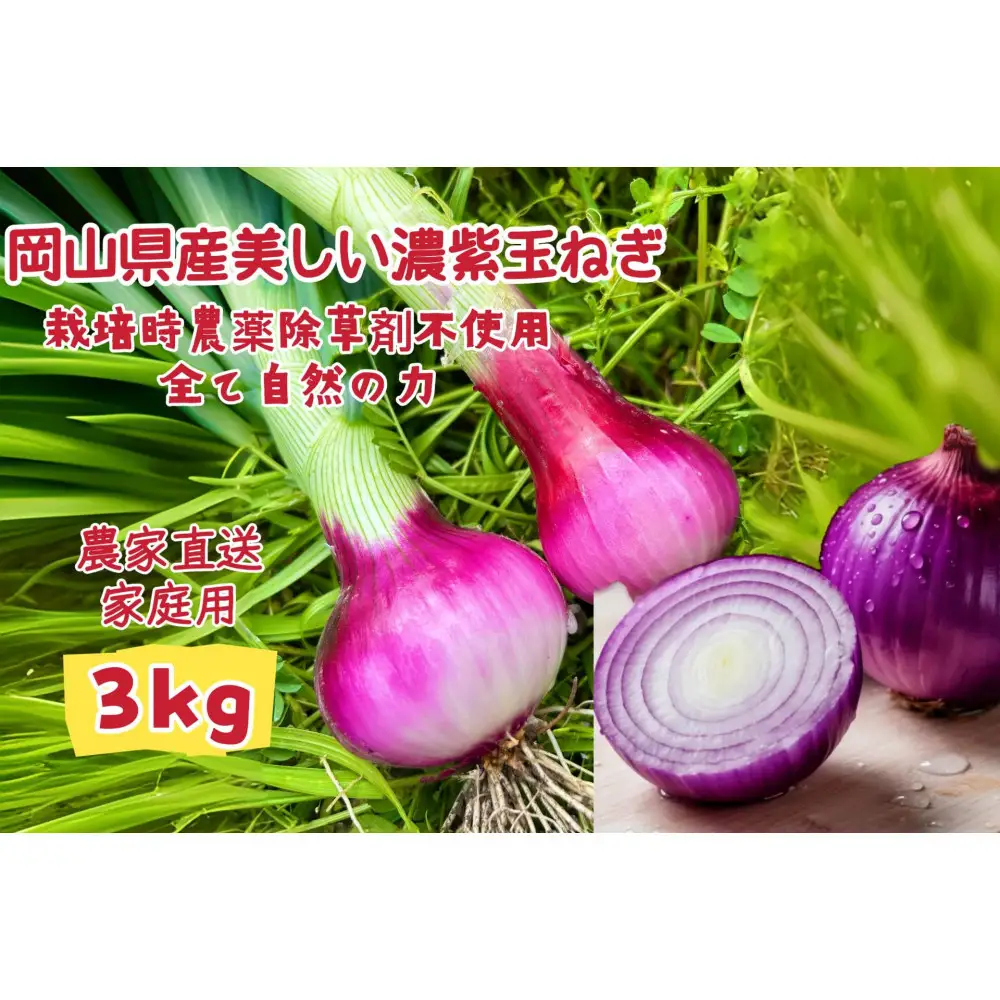甘すぎ新鮮岡山市産 赤紫玉ねぎ3kg 減化学肥料 家庭用 タマネギ 生食 健康 野菜 食品 栽培期間中農薬・除草剤不使用自然の力健康野菜 訳あり(サイズ混合)