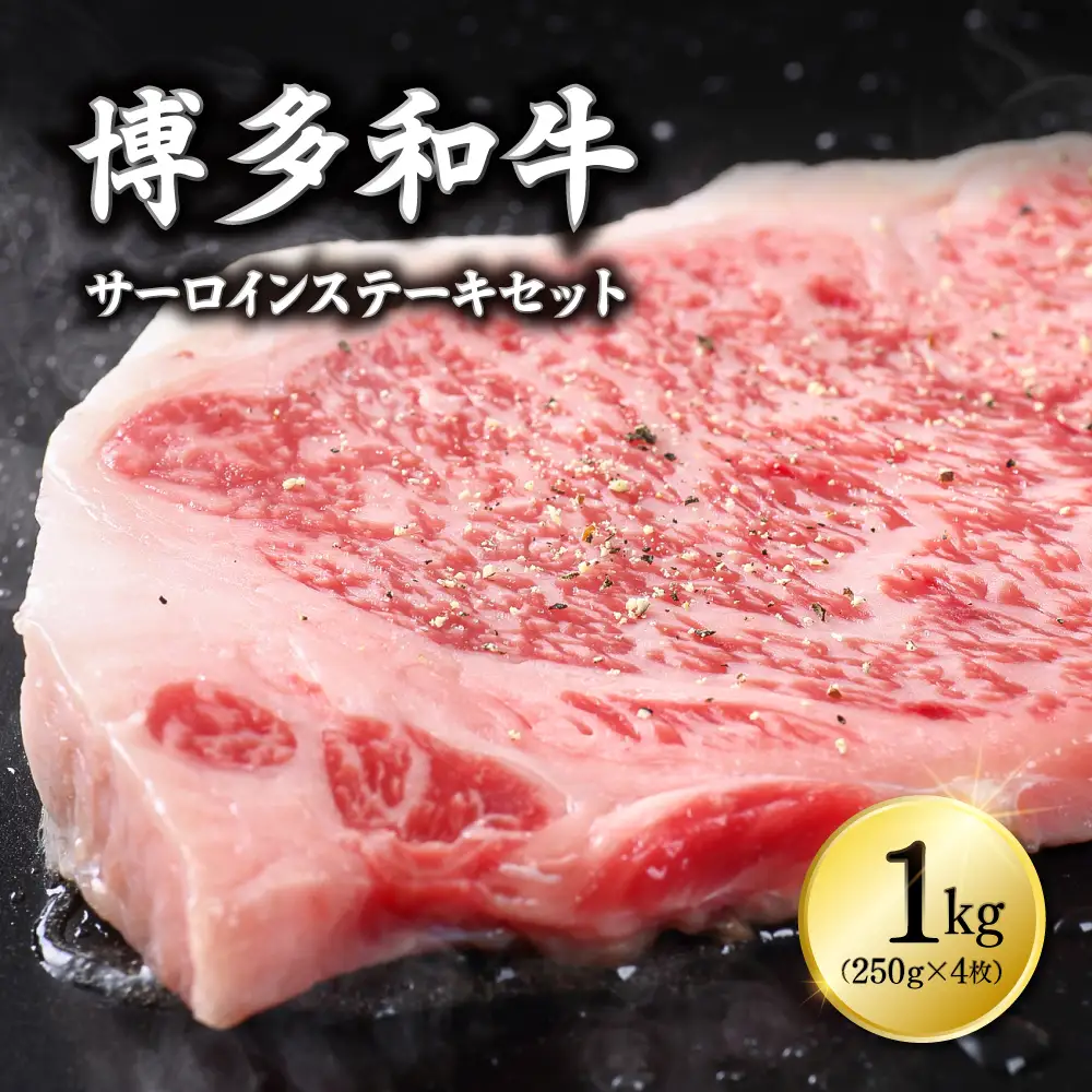 博多和牛サーロインステーキセット1kg（250g×4枚） Y12-S1