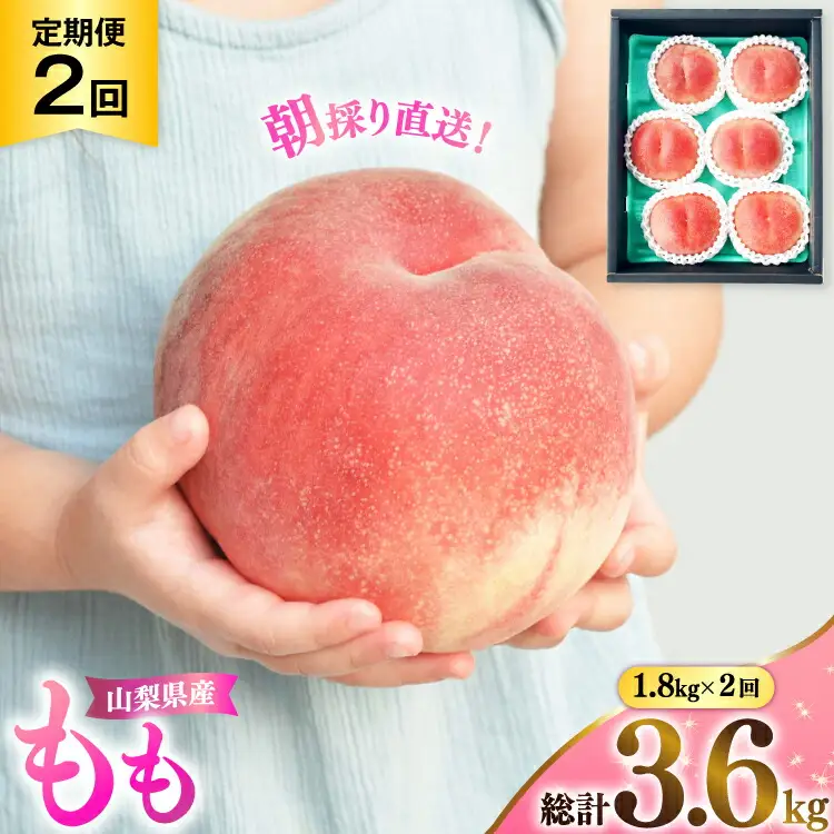 【先行受付】桃 山梨 山梨県産 もも 2回定期便 1.8kg 2回  NS-1014 [韮崎翠緑 山梨県 韮崎市 20743072]