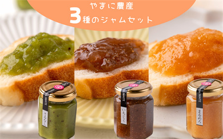 やまに農産　山里の恵みジャム３本（さるなし・いちじく・まるめろ）