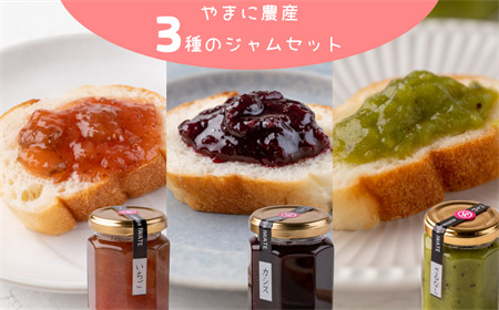 やまに農産　山里の恵みジャム３本（イチゴ、カシス、サルナシ）