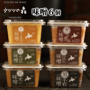 21-70 味噌6個（とうきび味噌・玄米味噌・青大豆味噌・茶豆味噌・黒千石味噌・赤の恵み味噌）【オホーツクの味噌蔵セレクション】