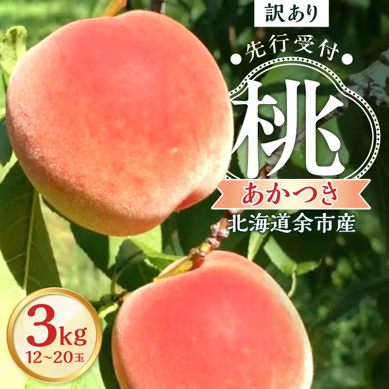 【2026年産 先行予約】＜北海道余市産＞訳アリ 桃「あかつき」3kg（12～20玉）_Y103-0061