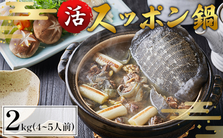 【6月お届け】綾部で育てた！！スッポン鍋 2kg  （4～5人前） すっぽん 鍋
