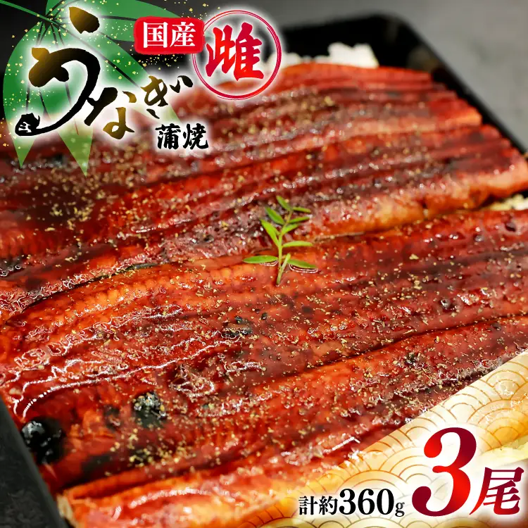 うなぎ 蒲焼き 国産 雌うなぎ 約120g 3尾 計約360g [マルニうなぎ加工 静岡県 吉田町 22424459]