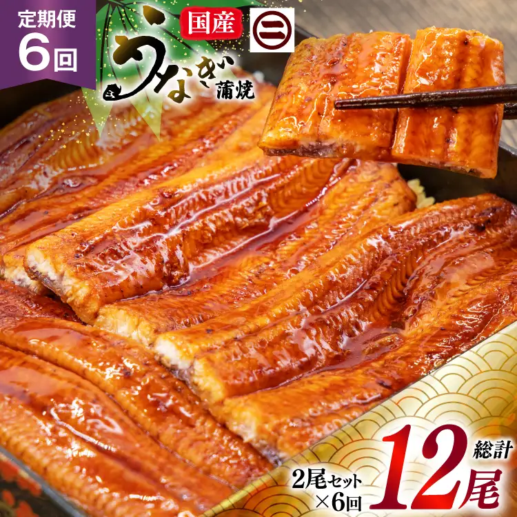 うなぎ 国産 蒲焼 定期便 145g前後 2尾 6回 総計12尾 真空パック タレ 山椒 付き 冷凍 [マルニうなぎ加工 静岡県 吉田町 22424475]