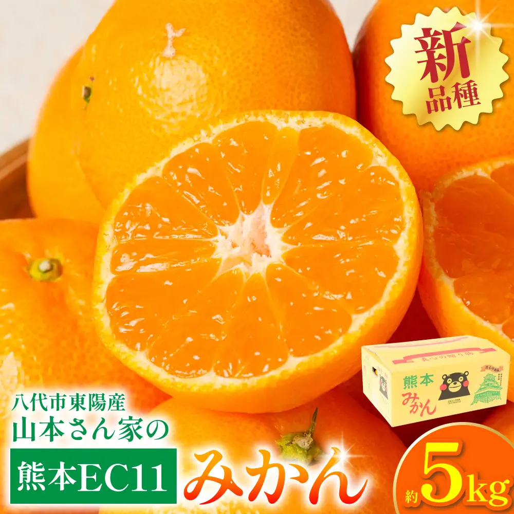 【先行予約】 みかん 八代市東陽産山本さん家の「熊本EC11みかん」 約5kg みかん 柑橘 【2026年11月上旬より順次発送】