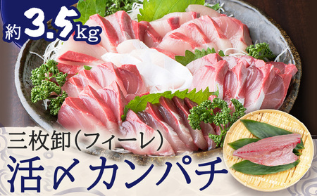 鹿児島県産 カンパチ 約3.5kg 三枚卸（ フィーレ ） 活〆 ※ 真空包装 K294-003_02 魚