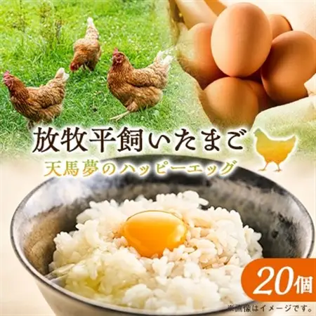 天馬夢のハッピーエッグ 20個_卵・乳製品 卵  たまご タマゴ 玉子_【配送不可地域：離島・沖縄県】【1595009】