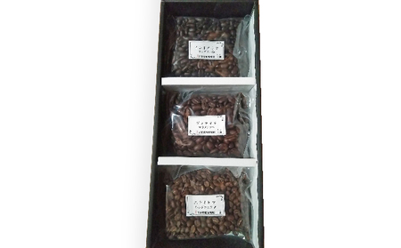 コーヒー豆 定期便 隔月6回 自家焙煎 コーヒー豆 おまかせ 3種 (100g×3袋) セット 詰め合わせ 自家焙煎珈琲 コーヒー 珈琲 珈琲豆 自家焙煎コーヒー 飲料 飲み物 ドリンク 静岡 静岡県 森町 定期 6回