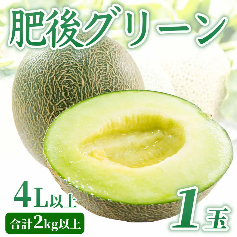 熊本県八代市産 肥後グリーンメロン 4L以上 1玉 約2kg 果物 くだもの フルーツ 肥後グリーン メロン 青肉メロン
