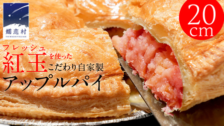 アップルパイ （ ホール 直径 20ｃｍ ） 自家製 ケーキ [BL001tu]