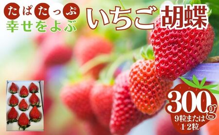 【13030】幸せをよぶ いちご 胡蝶