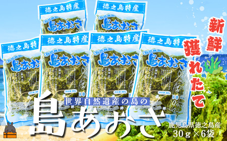 【2026年とれたて！】徳之島産 島あおさ（30g×6袋）( アオサ あおさ のり 海苔 乾物 徳之島 奄美 鹿児島 お味噌汁 料理 てんぷら 卵焼き 美味しい 新鮮 )