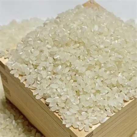 吉岡町産コシヒカリ(GUDアグリ使用)精米10kg【1586064】