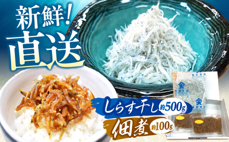 しらす干し（約500g）と佃煮（約100g）セット/森国商店&nbsp;浜で瞬時に釜出し&nbsp;高知のしらす【グレイジア株式会社】[ATAC485]