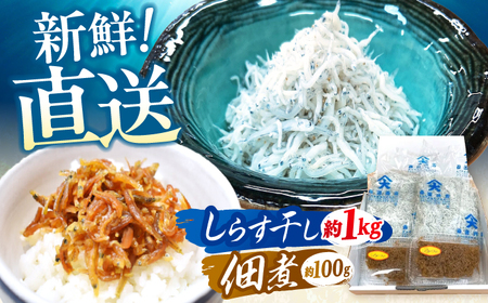 しらす干し（約1kg）と佃煮（約100g）セット/森国商店 浜で瞬時に釜出し 高知のしらす【グレイジア株式会社】[ATAC486]